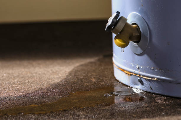 Best Mold removal after water damage  in Clarksville, TN