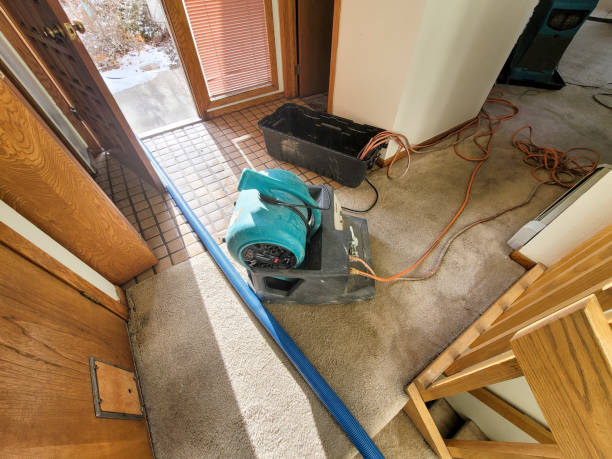 Best Ceiling water damage repair  in Clarksville, TN